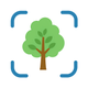 Tree Identifier AI: ID Trees