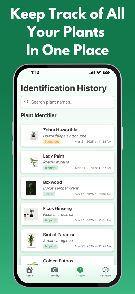 Plant Identifier: PlantRobot - Pantalla de la aplicación móvil que muestra una lista de plantas identificadas con fotos y categorías de cuidado en el historial de identificación