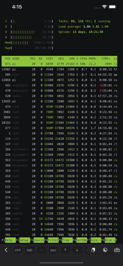 ServerCat - SSH Terminal - Mobile view of the ServerCat SSH terminal showing live Linux server process and memory usage