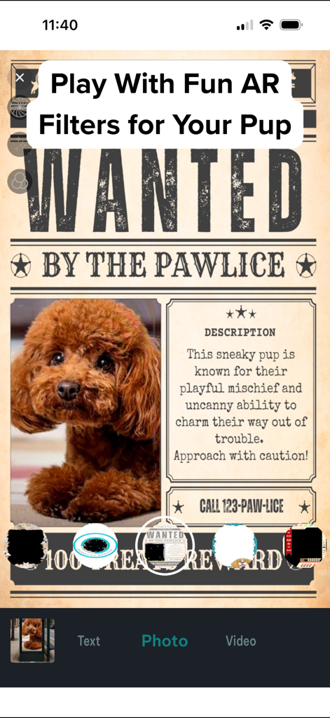 DogPack: Dog Friendly Spots - Un caniche con un divertido filtro AR diseñado como un cartel de "se busca" por la policía en la aplicación DogPack
