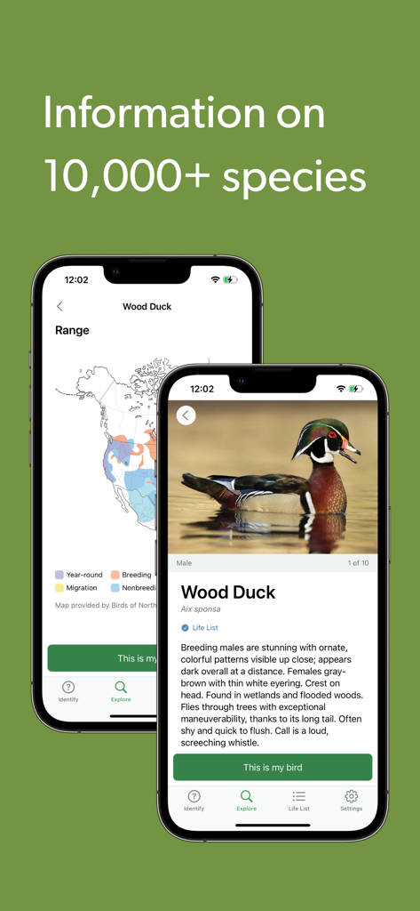 Merlin Bird ID by Cornell Lab - Merlin Bird IDアプリ、分布図と識別ヒントを含むキンクロハジロの詳細種を表示