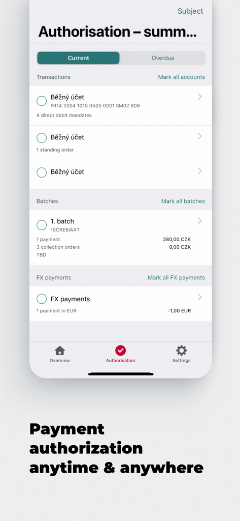 KB SKyline - KB SKyline corporate banking app payment authorization screen