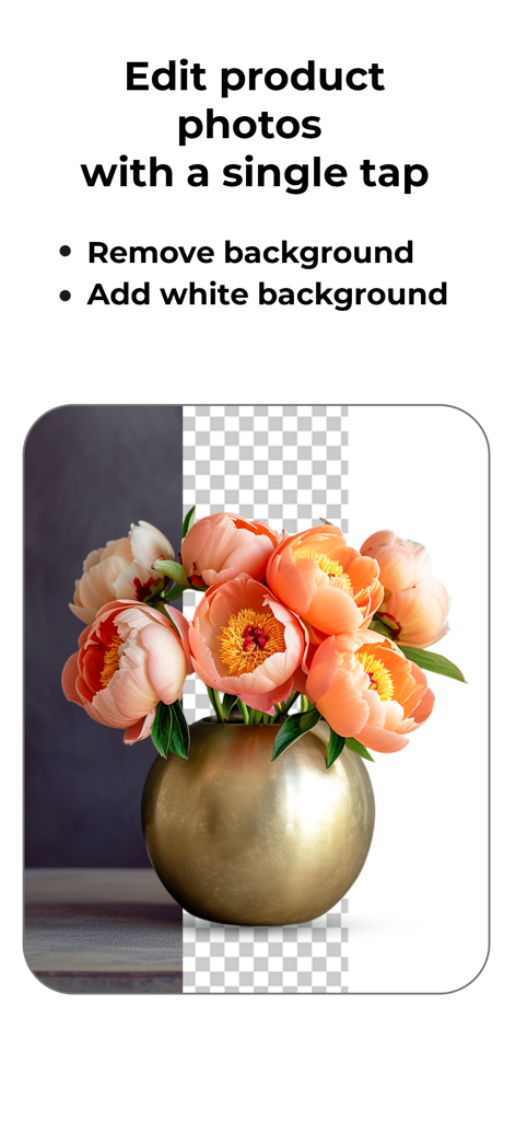 DoMyShoot Product Photo Studio - Product photo editing tool showing AI background removal and white background for a flower vase.