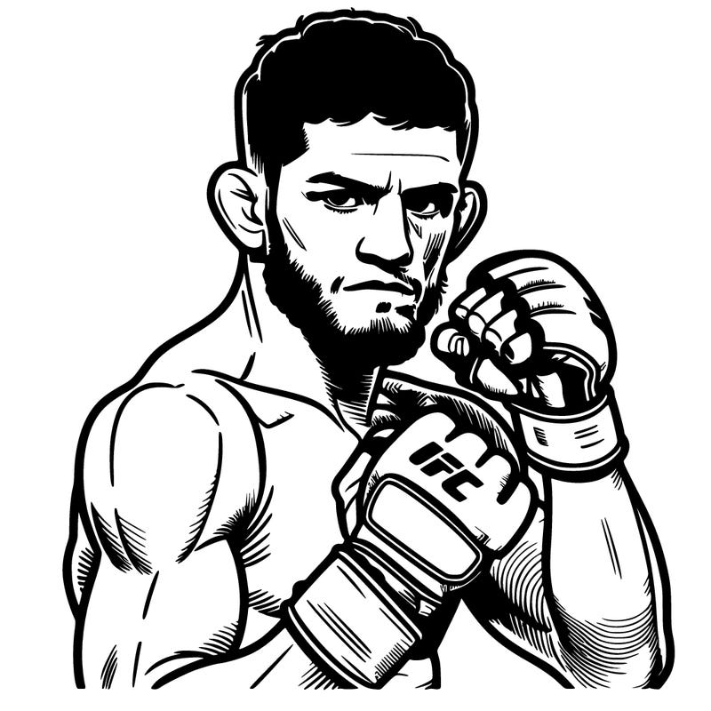 realistic, ufc fighter