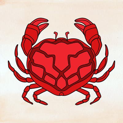 animals_16