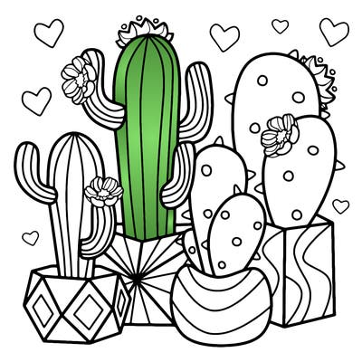 flowers_24_new