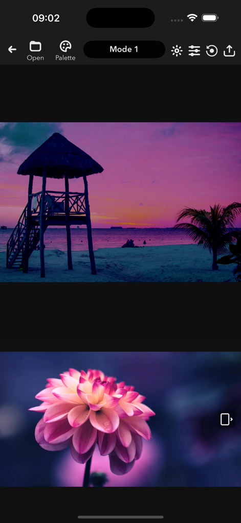 MatchColors AI - AI-powered color grading interface showing a sunset beach and a pink flower image