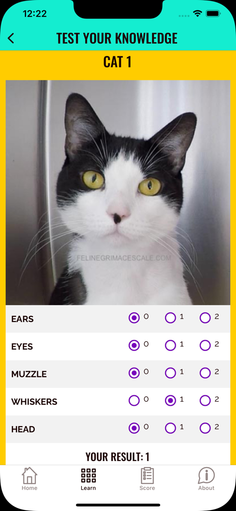 Feline Grimace Scale app quiz interface featuring a cat photo and pain scoring categories
