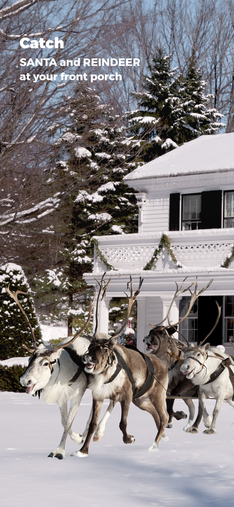 Four reindeer standing in a snowy front yard in front of a decorated white house
