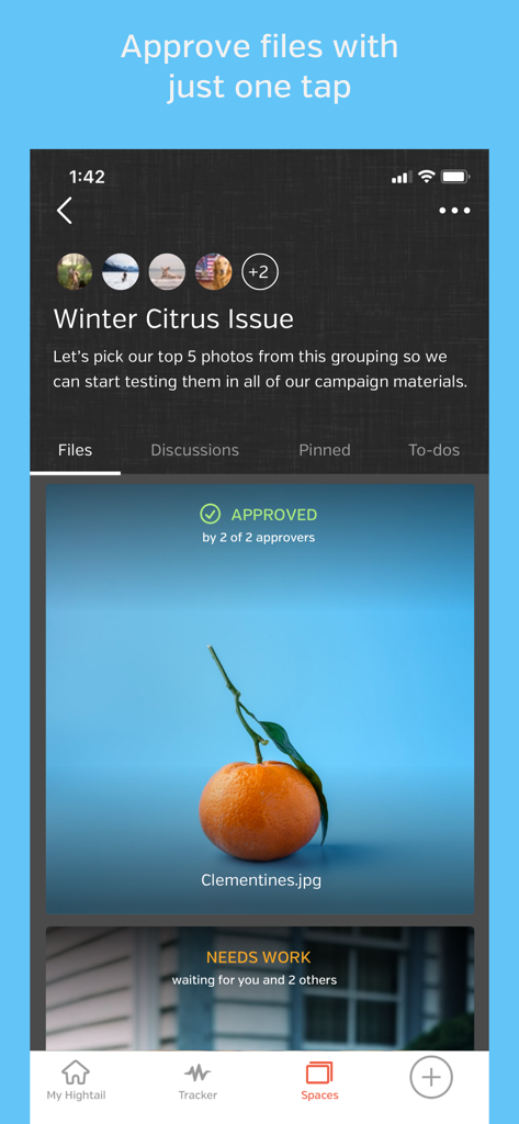 Hightail - Hightail mobile app screenshot showing a clementine image marked as approved by two team members within a project space