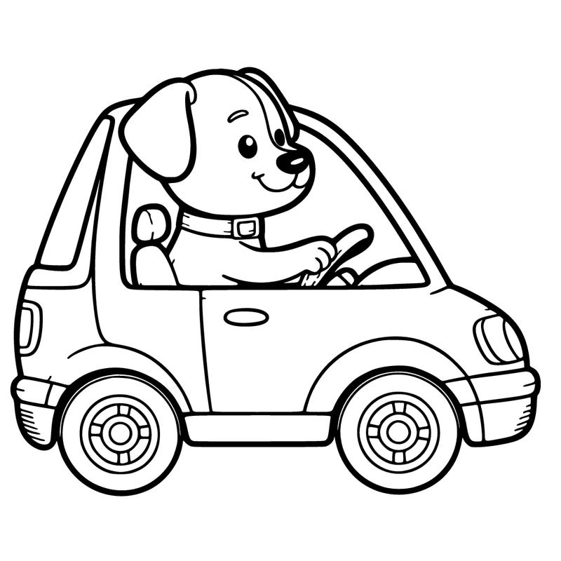 dog driveing car
