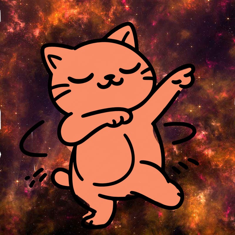 cat dancing