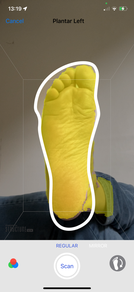 3D-Sidekick - Interfaz de la aplicación 3D-Sidekick capturando un escaneo 3D de la superficie plantar de un pie