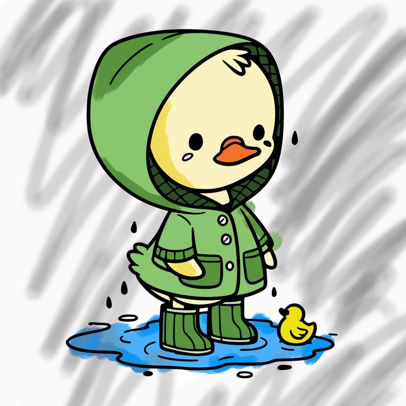 baby duck in a rain coat and boots, in a puddle while it’s raining