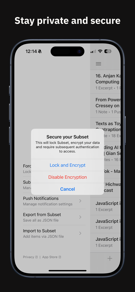 Captura de pantalla de la aplicación Subset que muestra una ventana emergente de seguridad con opciones para bloquear y encriptar datos para la gestión de información privada