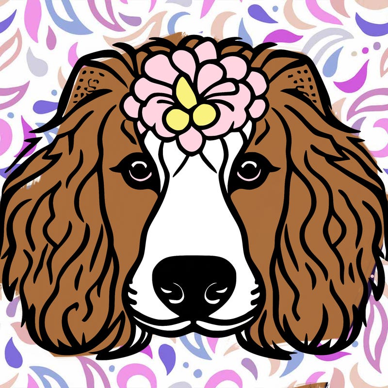 poodle