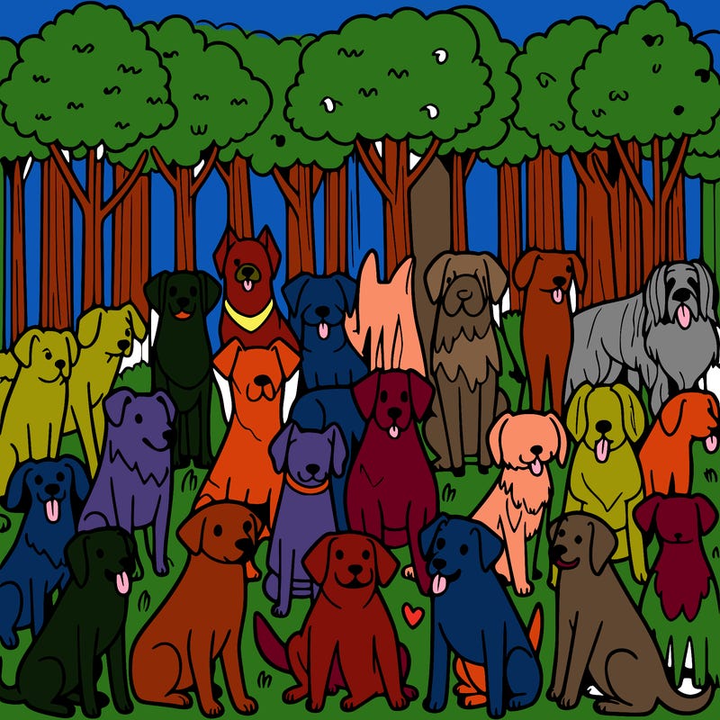 many dogs in the forest