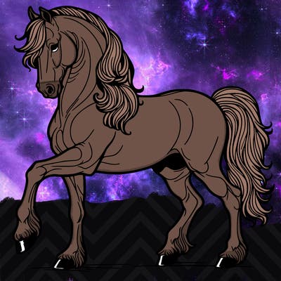 andalusian stud horse