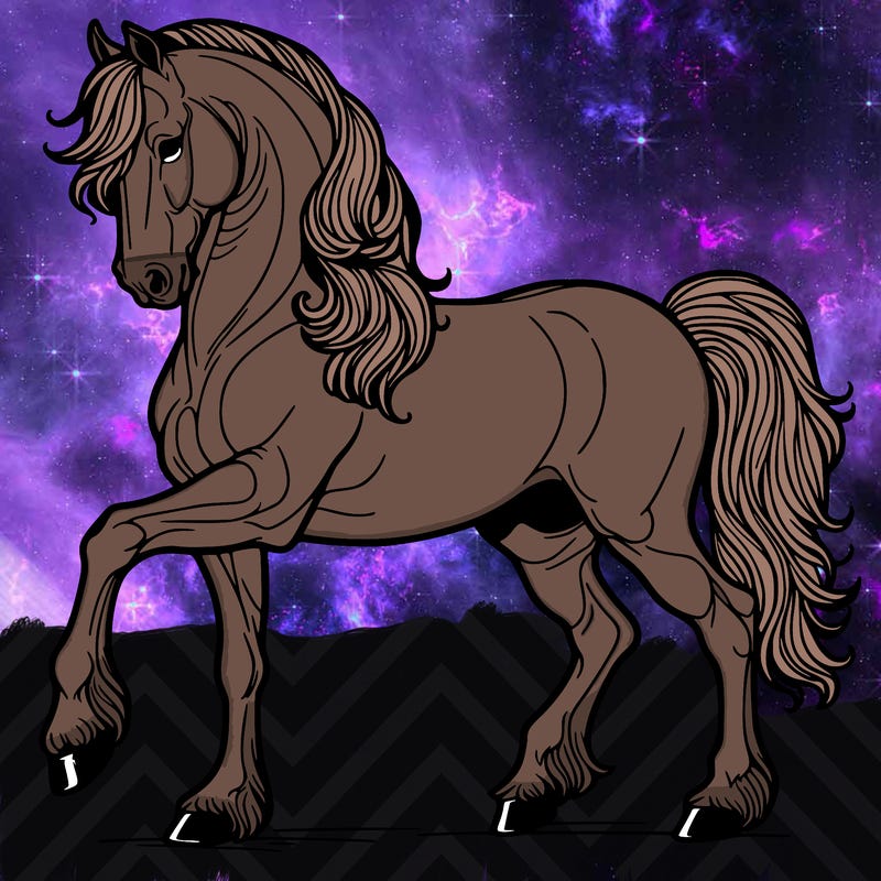 andalusian stud horse