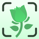 Plant Net: AI Plant Identifier
