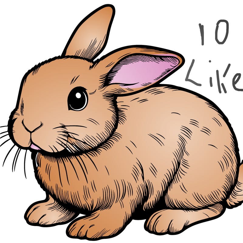 realistic bunny