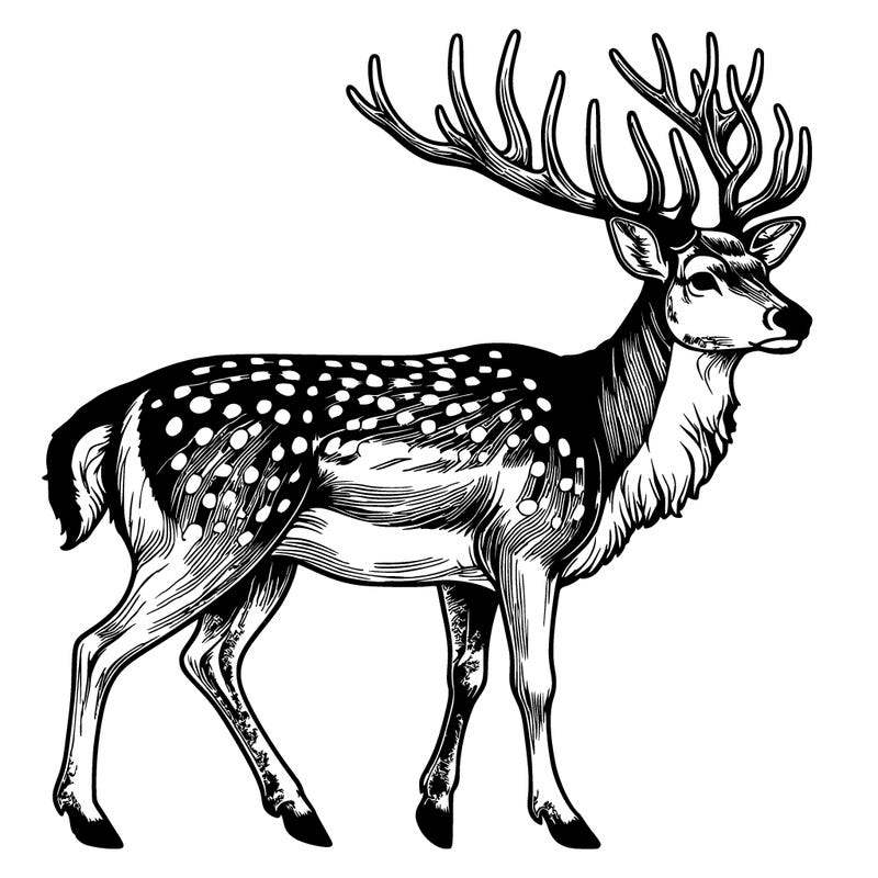 realistic deer