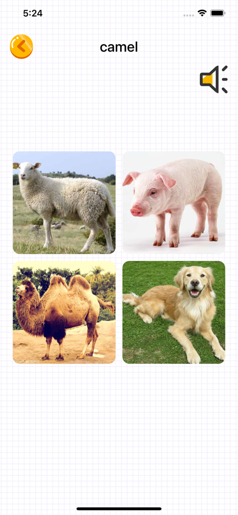 A children's English learning app quiz interface showing real-life animal photos for the word camel.