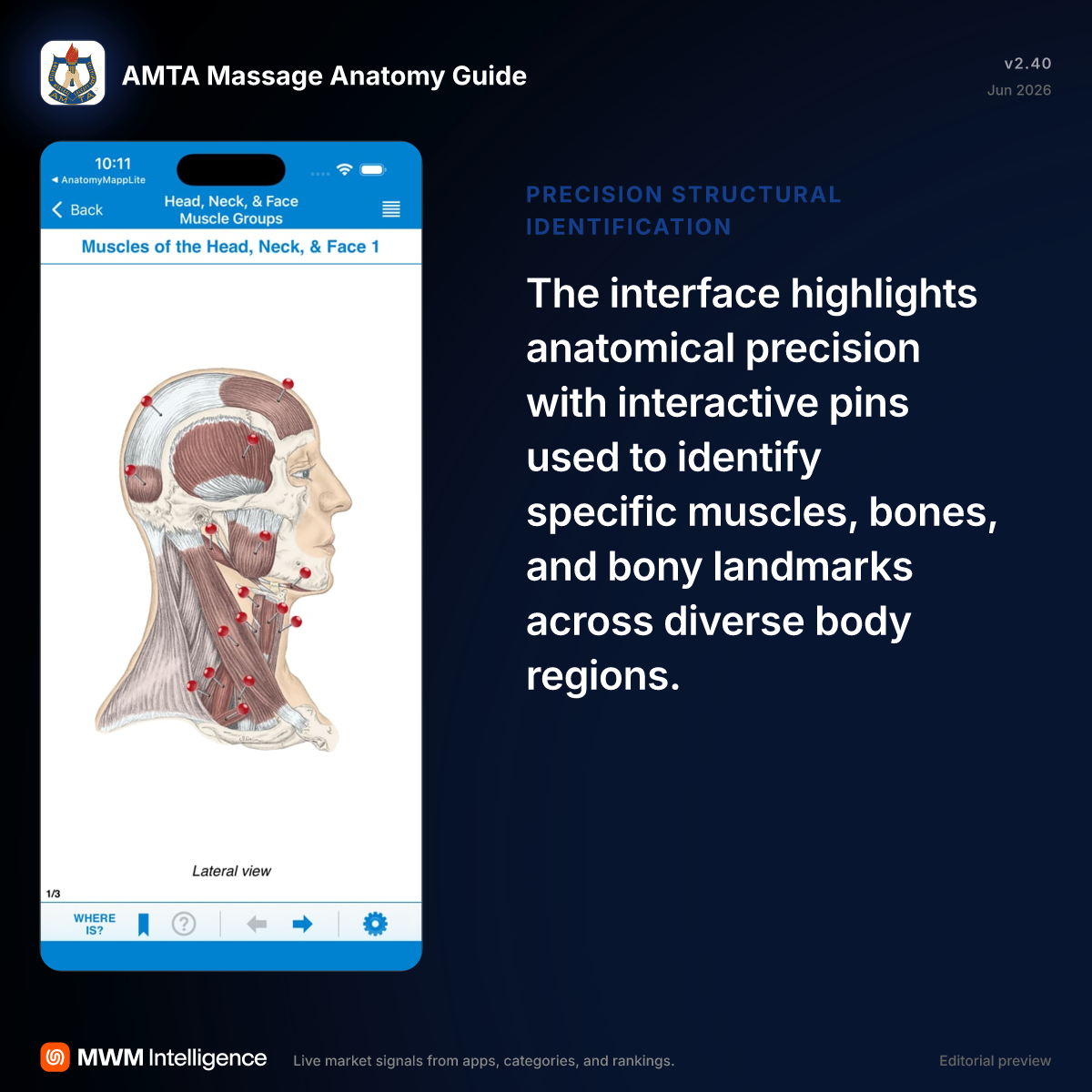 AMTA Massage Anatomy Guide - Medical App | MWM