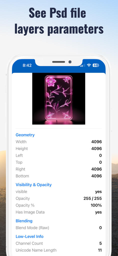 寸法と表示設定を含む詳細なPSDレイヤーパラメータを表示するアプリ画面