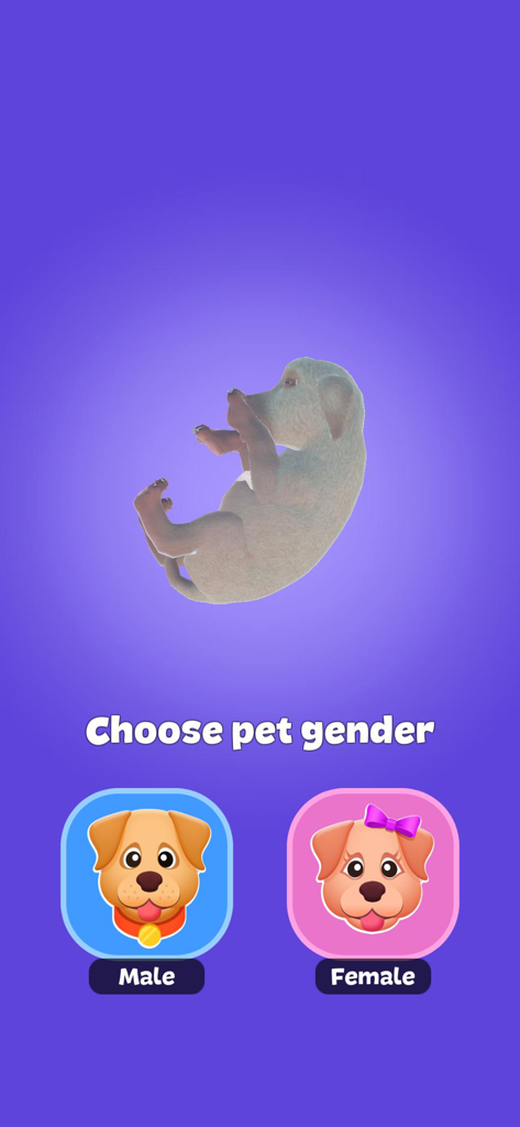 Dog Life Simulator ! - Écran de sélection du genre dans Simulateur de Vie de Chien, montrant les choix de chiots mâles et femelles
