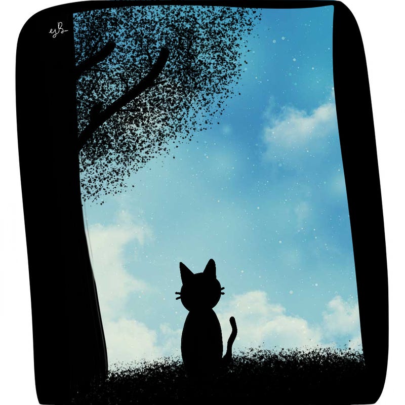 blank white page with nothing drawn on it