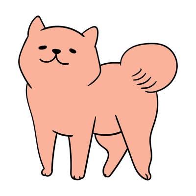 animals_29