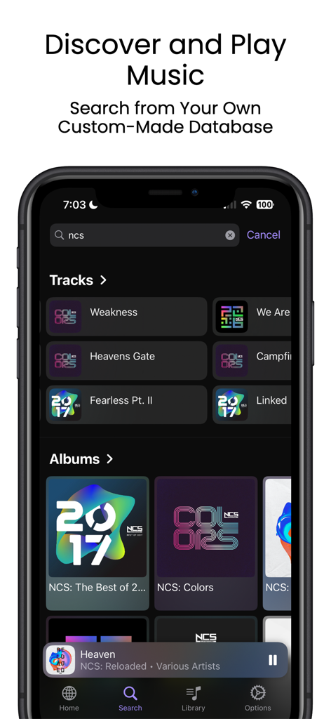 Openmusic - Search results interface in the Openmusic app showing music tracks and albums from a custom database