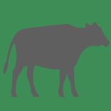 Cattle Weight Estimator - App Icon