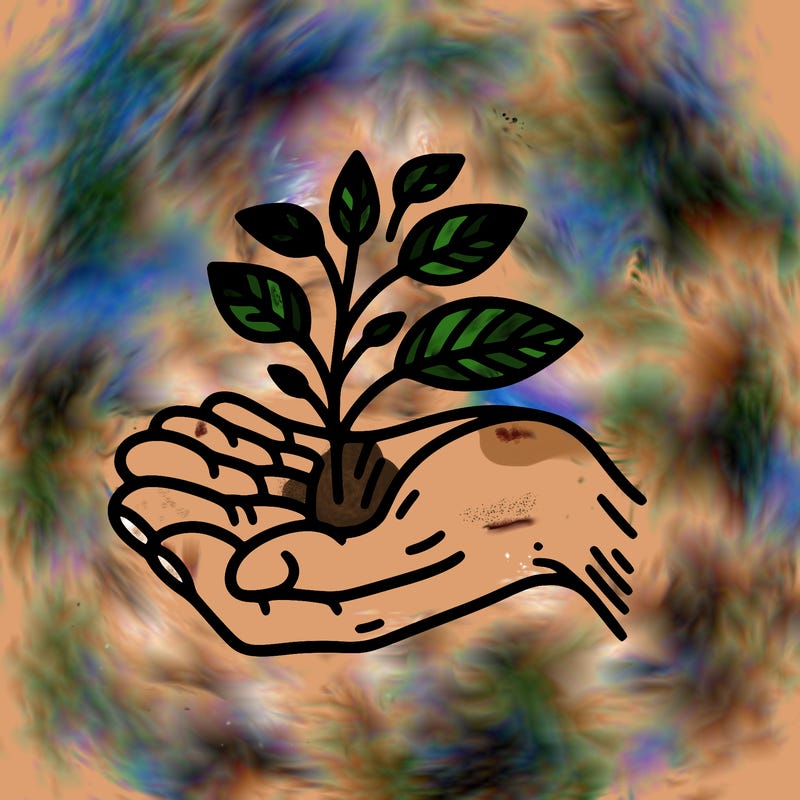 hand with plant