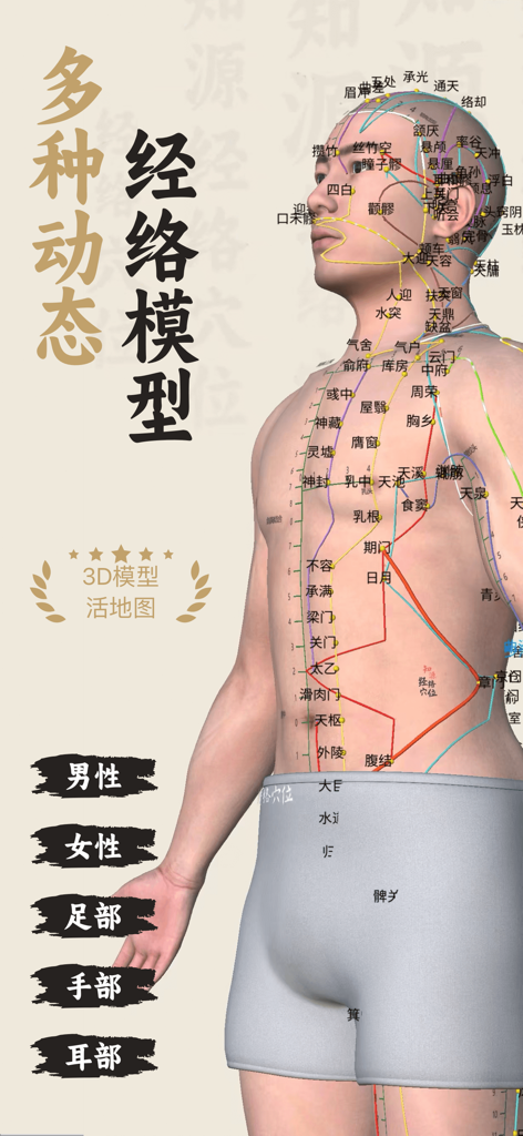 知源经络穴位-中医经络穴位针灸艾灸按摩养生舌诊中草药识别大全 - 3D visualization of acupuncture points and meridians on a male body model