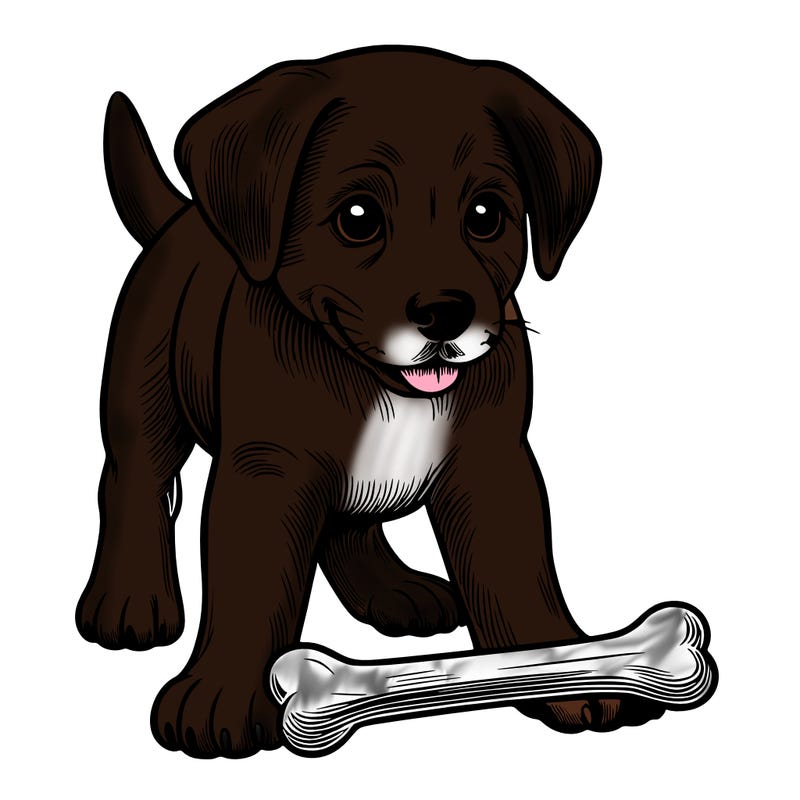 dog with a bone realistic