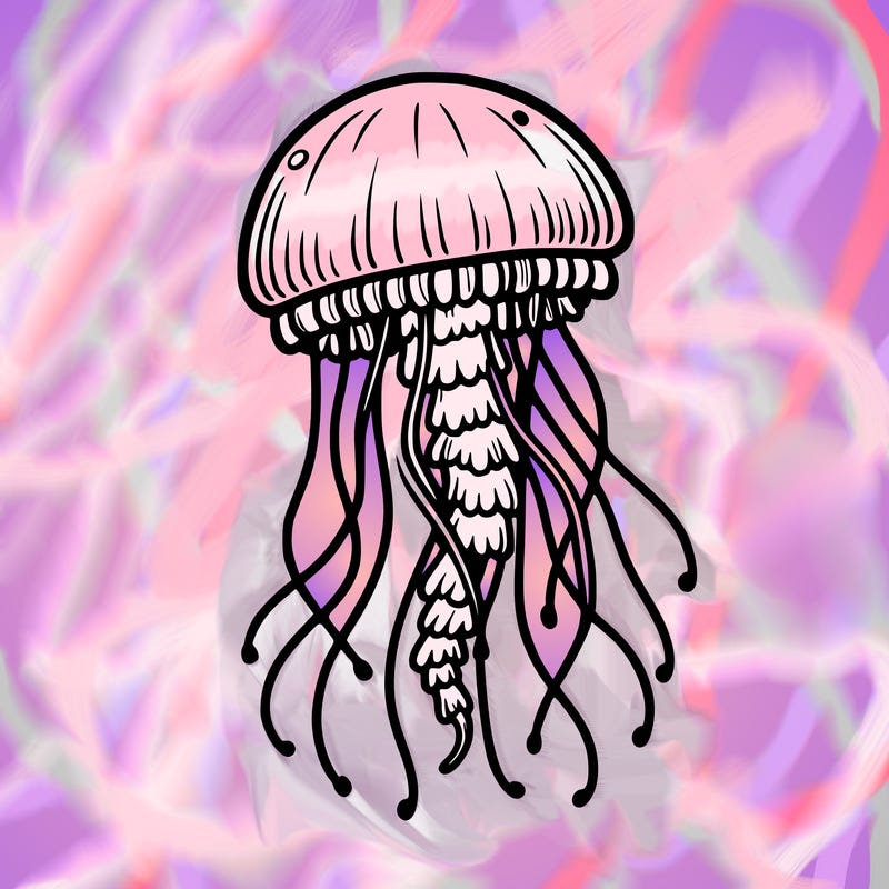 jellyfish