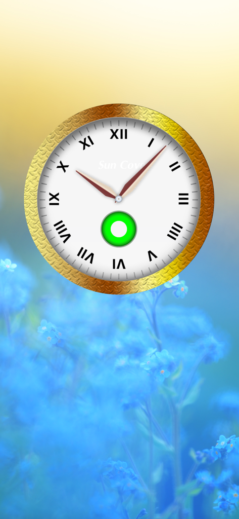 Cloki – Clock Widget - A custom analog clock widget with a textured gold rim and Roman numerals set against a blurry blue floral background