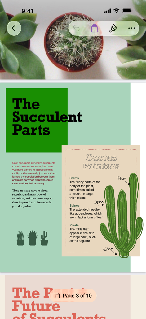 Una visualizzazione mobile di un documento splendidamente progettato sui succulenti nell'app Pages.