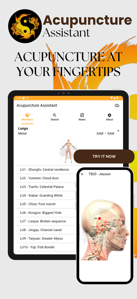 Acupuncture Assistant - Acupuncture Assistant app interface showing meridian points list and anatomical location on a human head
