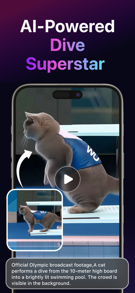 Interfaz de la aplicación LitVideo mostrando un vídeo IA generado de un gato realizando una zambullida desde un trampolín