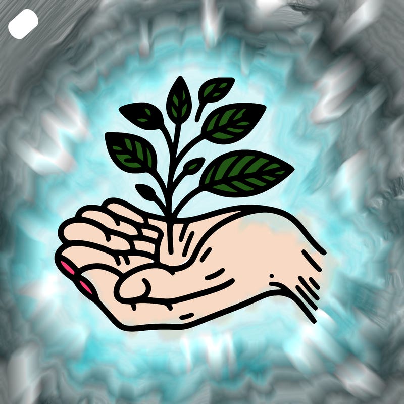 hand with plant
