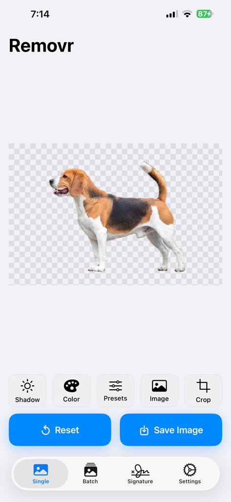 Remove Background - Removr - Screenshot dell'app Removr che mostra un beagle con lo sfondo rimosso