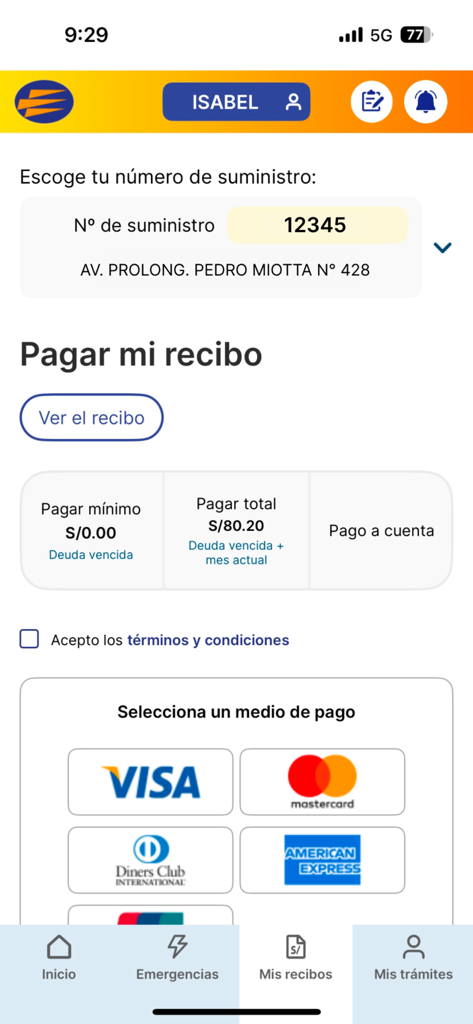 Luz del Sur - Pantalla de la aplicación móvil de Luz del Sur que muestra opciones para pagar recibos de luz con tarjetas de crédito como Visa y Mastercard