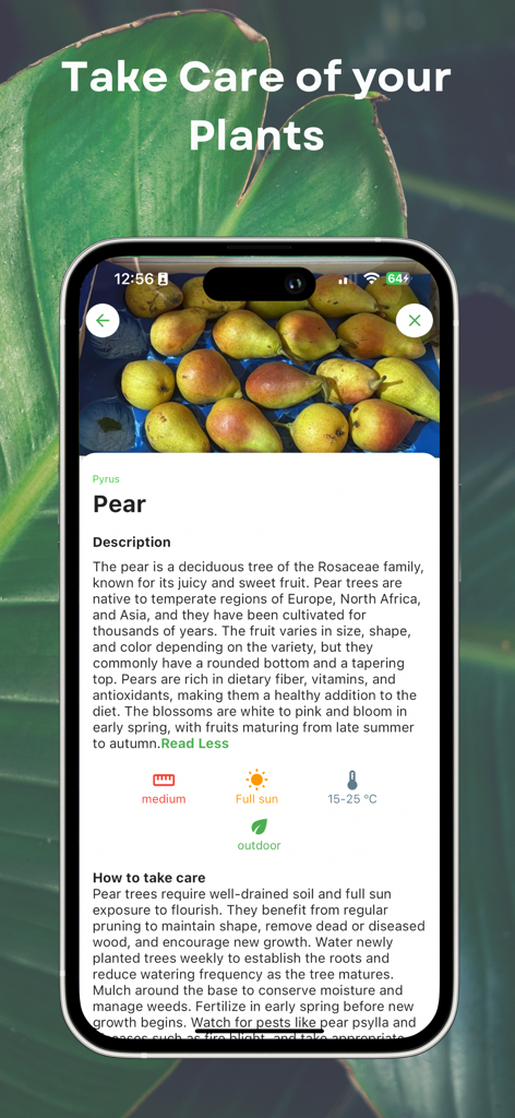 A screenshot of the Petals app showing detailed plant care instructions and identification for a pear tree.
