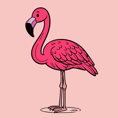 flamingo