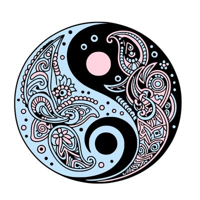 ying and yang paisley pattern