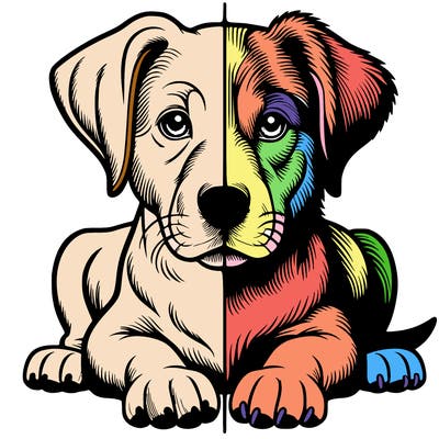 realistic dog split picture