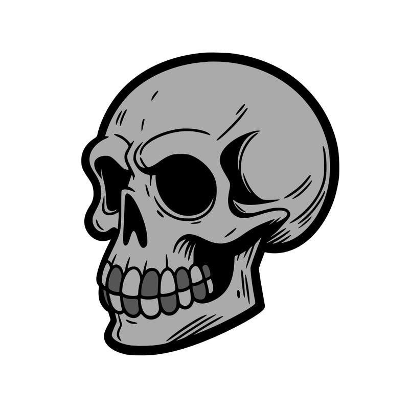 💀 scull